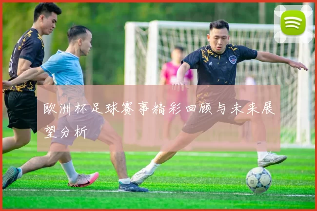 欧洲杯足球赛事精彩回顾与未来展望分析