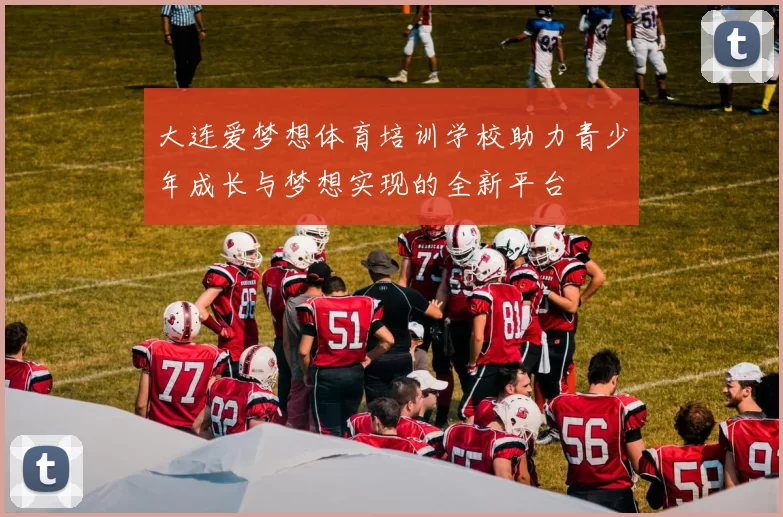 大连爱梦想体育培训学校助力青少年成长与梦想实现的全新平台