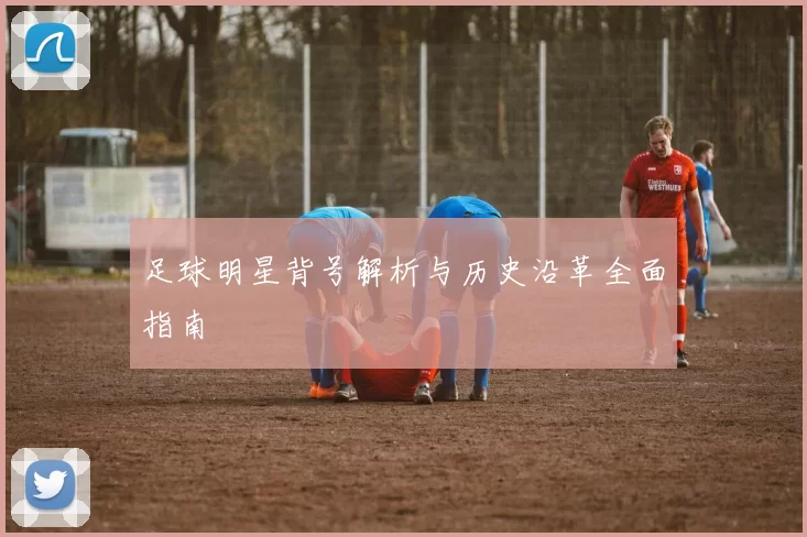 足球明星背号解析与历史沿革全面指南