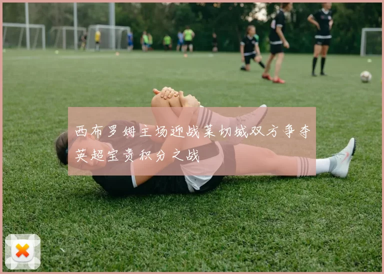 西布罗姆主场迎战莱切城双方争夺英超宝贵积分之战